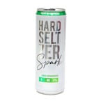 Hard Seltzer Limón H Buena 350 Ml