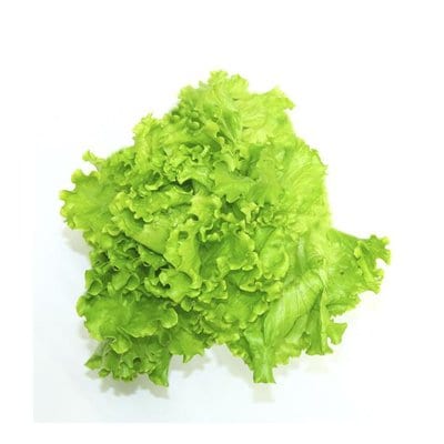Lechuga Escarola Verde