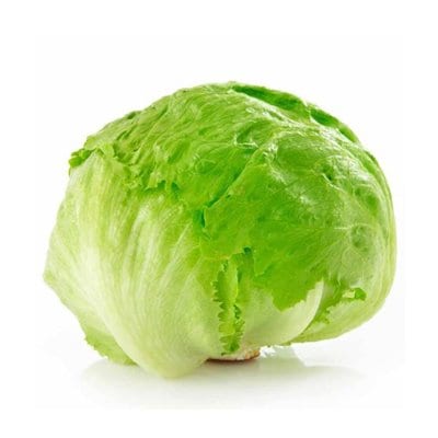 Lechuga Americana